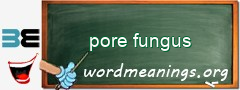 WordMeaning blackboard for pore fungus